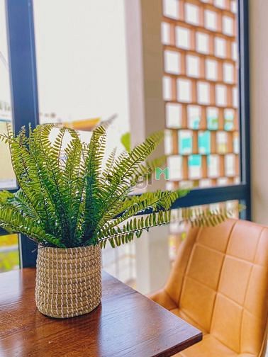 Hình ảnh 🎉Khai trương 6 Căn Hộ Studio 40m2 cao cấp Q3 ngay CV Lê Văn Tám
