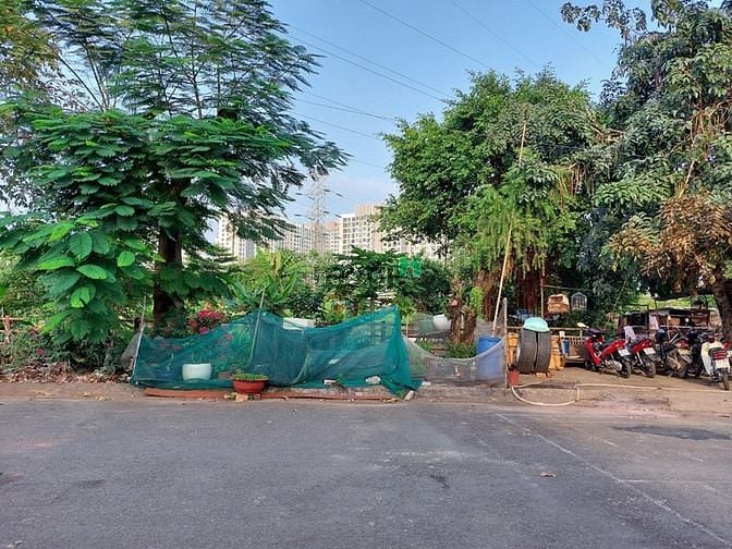 Hình ảnh Bán đất quận 12, view sông Vàm Thuật 200m2 ngang 10m, đường rộng 12m