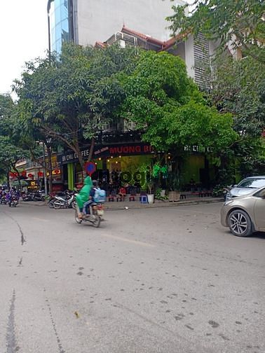 Hình ảnh Cho thuê Biệt thự Cầu Giấy làm cà phê 250m2x3T