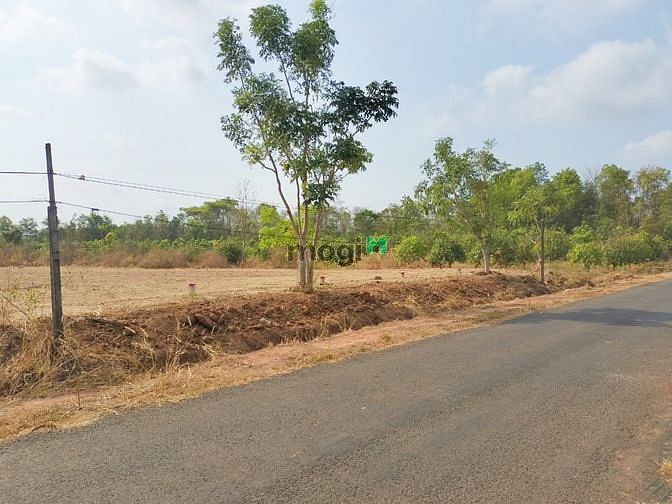 Hình ảnh Đất ngộp đúng giá đúng sự thật, việc thật người thật