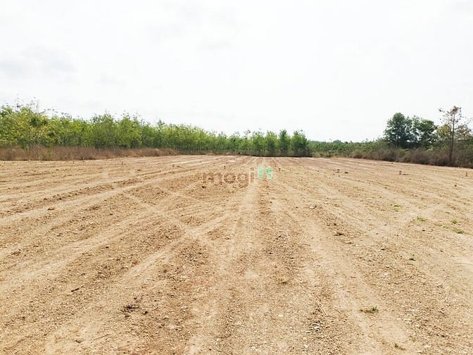 Hình ảnh Đất ngộp đúng giá đúng sự thật, việc thật người thật