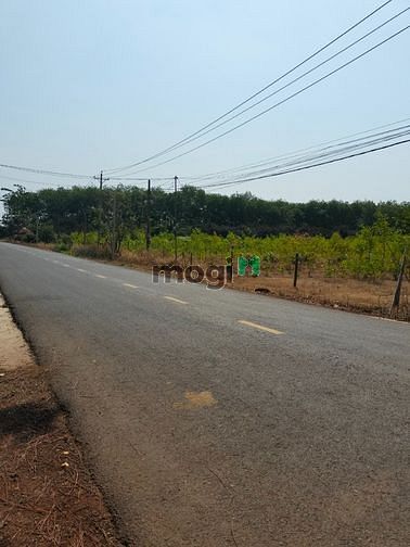 Hình ảnh Đất ngộp đúng giá đúng sự thật, việc thật người thật