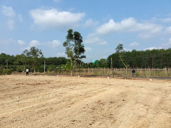 Hình ảnh Đất ngộp đúng giá đúng sự thật, việc thật người thật