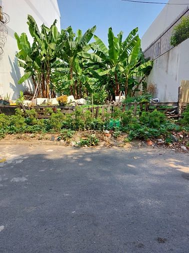 Hình ảnh Bán đất xây biệt thự 200m2 quận 12 thể hiện đẳng cấp người thành đạt
