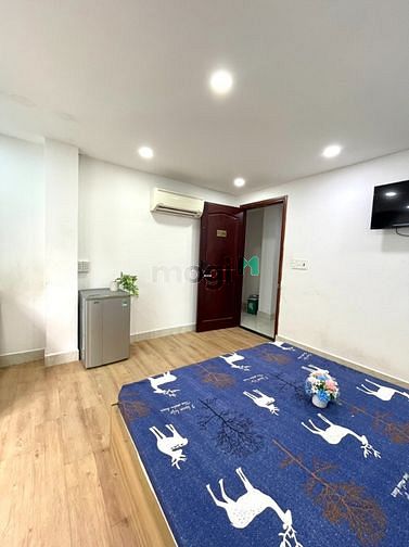 Hình ảnh Mb6623 nạp rút nhanh chóng dịch vụ full nội thất cửa sổ lớn ngay chợ Phạm Văn Hai