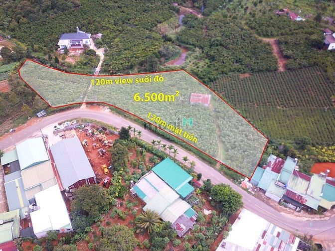 Hình ảnh Cho thuê 120m mặt tiền đường Lương Văn Can - Bảo Lộc