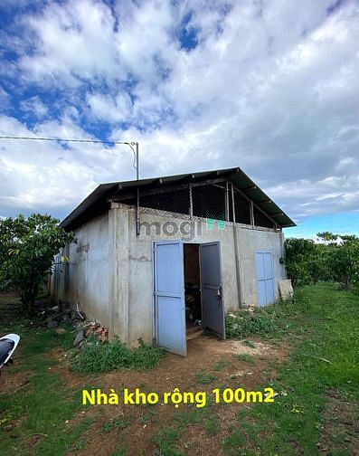 Hình ảnh Cho thuê 120m mặt tiền đường Lương Văn Can - Bảo Lộc