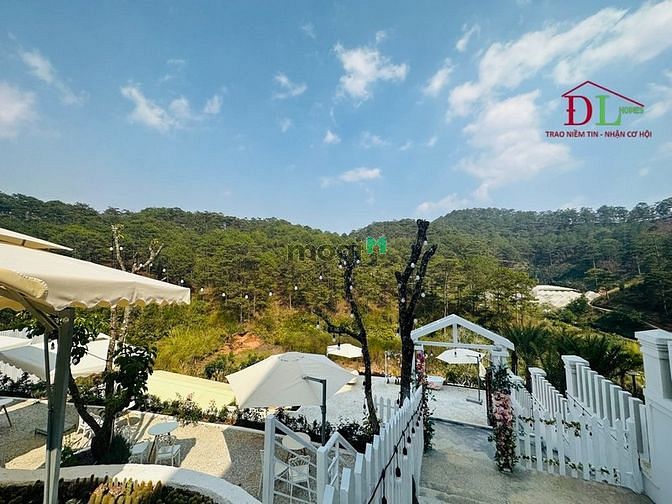 Hình ảnh Bán khu đất lớn Hoàng Hoa Thám Đà Lạt view rừng thông