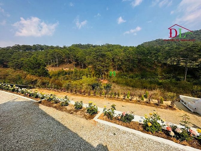 Hình ảnh Bán khu đất lớn Hoàng Hoa Thám Đà Lạt view rừng thông