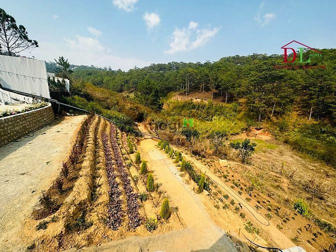 Hình ảnh Bán khu đất lớn Hoàng Hoa Thám Đà Lạt view rừng thông