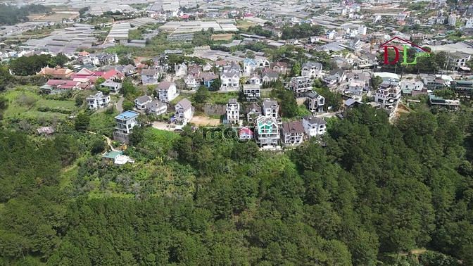 Hình ảnh Bán đất KQH Viện Nghiên Cứu Hạt Nhân Đà Lạt dãy view thông vĩnh viễn