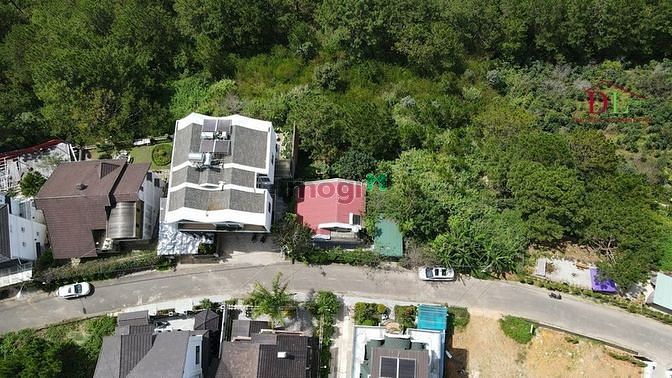 Hình ảnh Bán đất KQH Viện Nghiên Cứu Hạt Nhân Đà Lạt dãy view thông vĩnh viễn