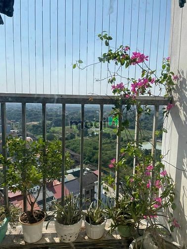 Hình ảnh Chung cư An Bình Tower 521 Cổ Nhuế, 49m2, 1.25 tỷ