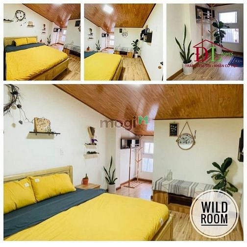 Hình ảnh Sang homestay Đặng Thái Thân phường 3 Đà Lạt