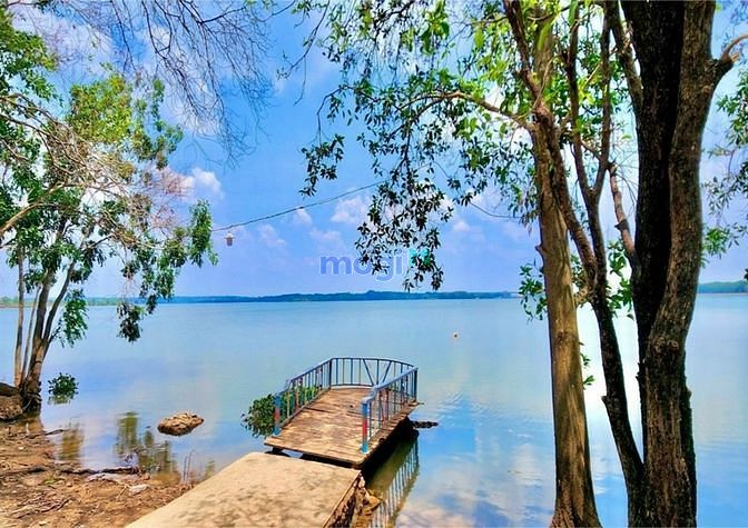 Hình ảnh Bán gấp 1064m2 đất - sổ sẵn - 230 triệu - gần chợ  nhiều vị trí đẹp
