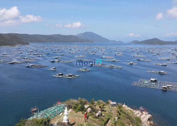 Hình ảnh Duy nhất 1 lô vị trí đẹp, đã có sổ khu Bắc Vân Phong