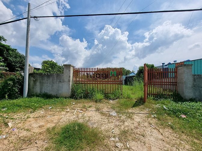 Hình ảnh Cho Thuê Đất Mặt Tiền Thị Xã Gò Dầu Chính Chủ