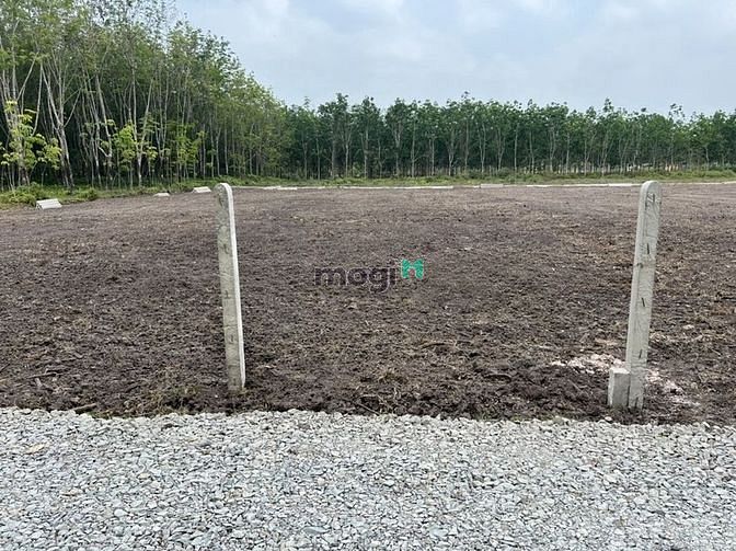 Hình ảnh Bán gấp lô đất 153m2, full thổ, Gò Dầu, Giá 300tr.
