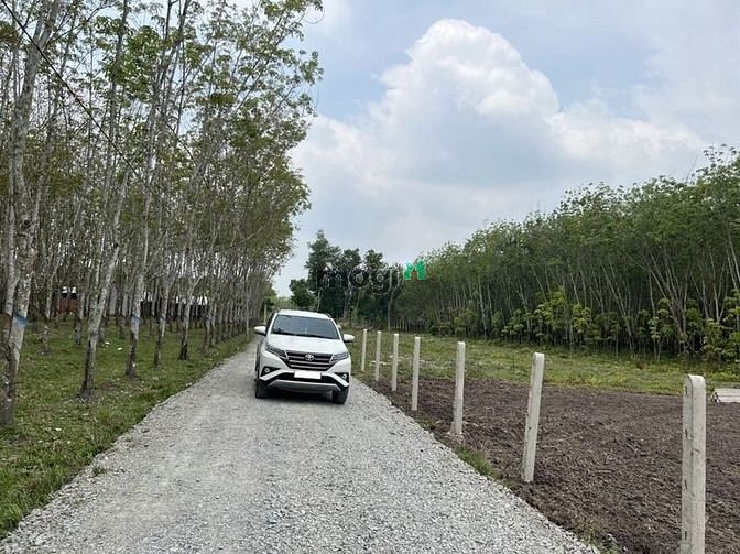 Hình ảnh Bán gấp lô đất 153m2, full thổ, Gò Dầu, Giá 300tr.