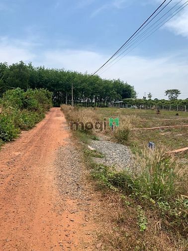 Hình ảnh Cần Bán 150m2 (5x30) Full Thổ Chỉ 320tr Gần KCN Phước Đông