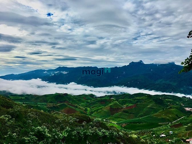Hình ảnh chủ vỡ nợ cắt lỗ sâu mảnh đất s 5ha tại MỘC CHÂU