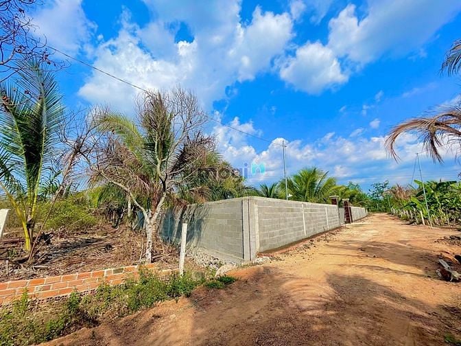 Hình ảnh Đất Vườn Ao Cá Sổ Sẵn Giá Chỉ 970 Triệu Bao Sổ