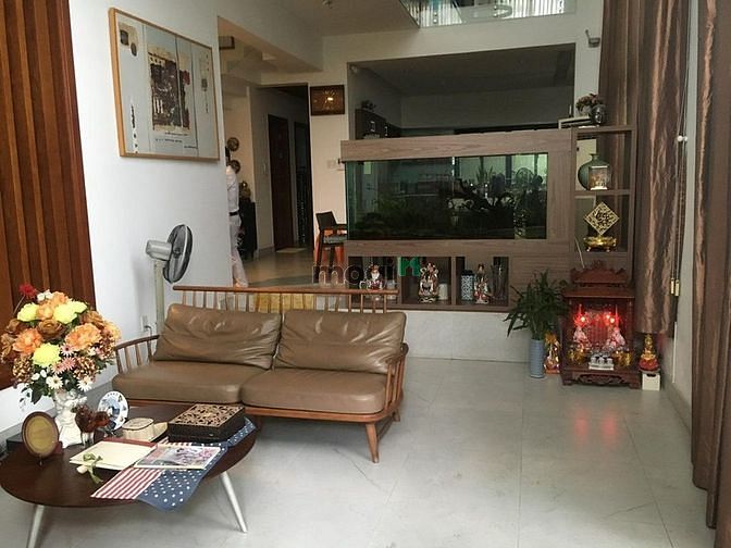 Hình ảnh Cho thuê Biệt thự Kiều Đàm 9,1x25m giá 55 triệu