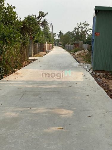 Hình ảnh Đất Giá Mb6623 phiên bản mới nhất Tân Hạnh Mặt Tiền Đường Thông Giá Chỉ: 1Tỷ 550Triệu