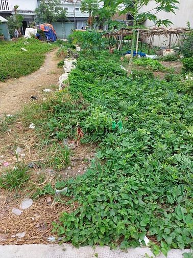 Hình ảnh Bán đất đường Tô Ngọc Vân quận 12, 5x16, khu dân cư hiện hữu