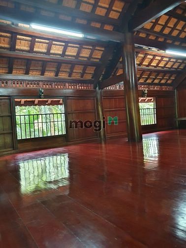 Hình ảnh Bán Biệt Thự Sân VƯỜN AO CHUỒNG Củ Chi
