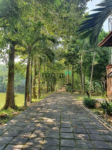 Hình ảnh Bán Biệt Thự Sân VƯỜN AO CHUỒNG Củ Chi