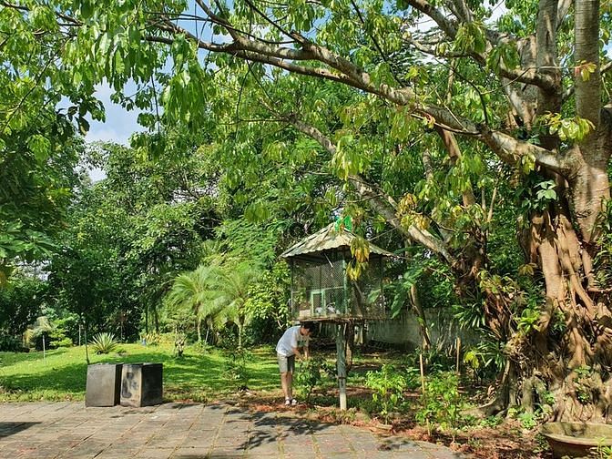 Hình ảnh Bán Biệt Thự Sân VƯỜN AO CHUỒNG Củ Chi