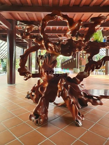 Hình ảnh Bán Biệt Thự Sân VƯỜN AO CHUỒNG Củ Chi