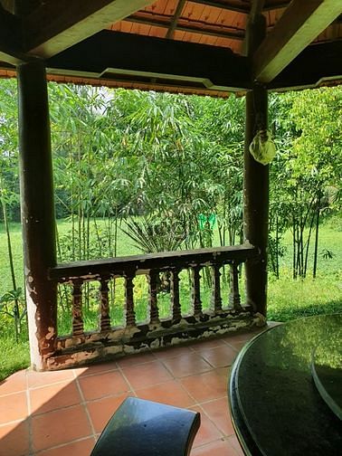 Hình ảnh Bán Biệt Thự Sân VƯỜN AO CHUỒNG Củ Chi