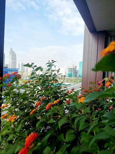 Hình ảnh Bán Căn Hộ 2PN2WC Metropole Q2