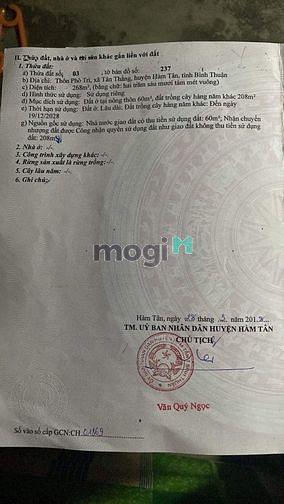 Hình ảnh Đất sát chợ Phò Trì Tân Thắng đường 7 m. Giá chỉ 800 tr