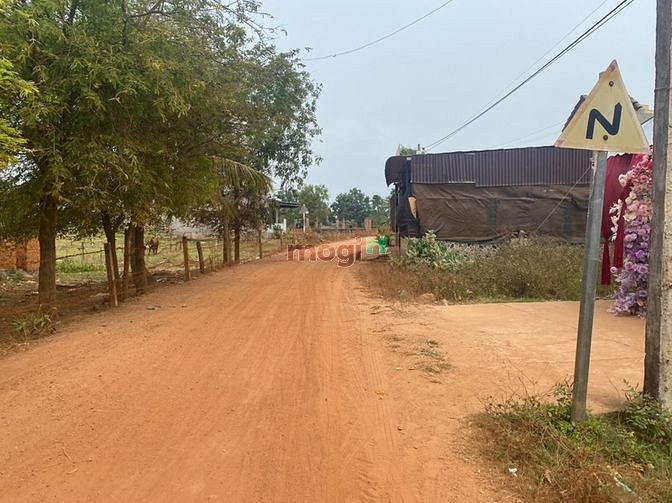 Hình ảnh Đất sát chợ Phò Trì Tân Thắng đường 7 m. Giá chỉ 800 tr