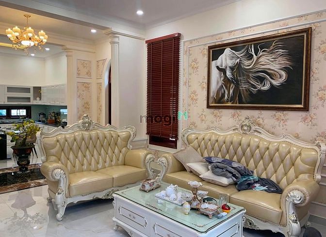 Hình ảnh BIỆT THỰ MINI Huỳnh Tấn Phát, Q7 104m2 giá: 3Tỷ390