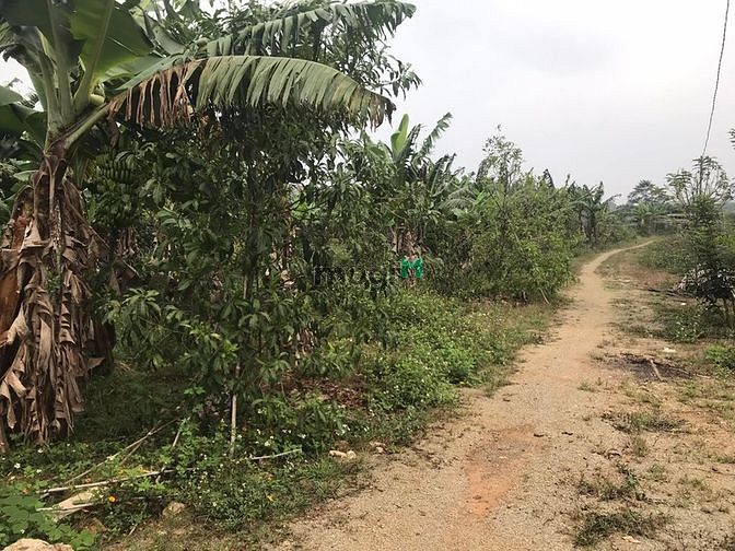 Hình ảnh bán lô đất 7 sào đối diện thác bobla 700m2  thổ cư  sổ sách đầy đủ