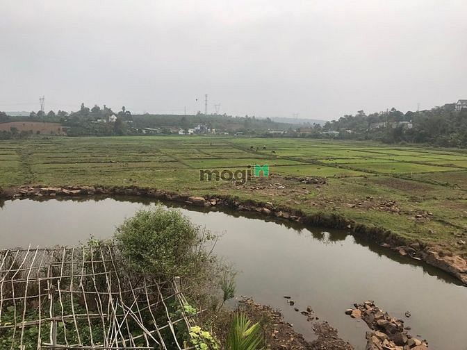 Hình ảnh bán lô đất 7 sào đối diện thác bobla 700m2  thổ cư  sổ sách đầy đủ