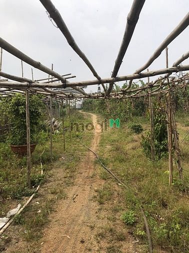 Hình ảnh bán lô đất 7 sào đối diện thác bobla 700m2  thổ cư  sổ sách đầy đủ