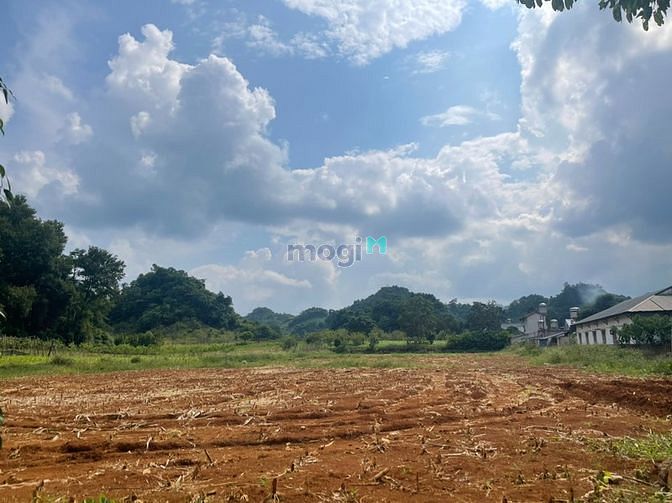 Hình ảnh Cần bán mảnh đất 577m2 ở Đông Sang thích hợp làm nơi nghỉ dưỡng