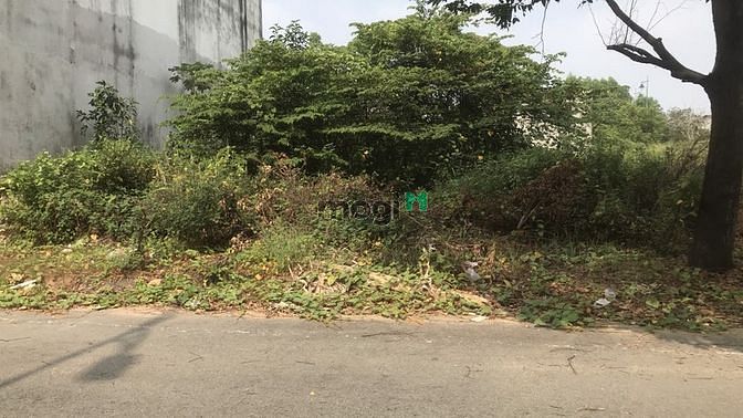 Hình ảnh Khó khăn bán 6x21m (123m) cạnh THỦ ĐỨC giá giảm mạnh