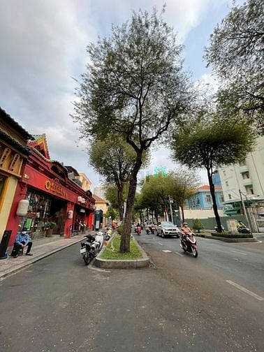 Hình ảnh 🍀🍀🍀 HOT !!!!! HOKAIDO Pasteur, Phường Bến Nghé, Quận 1