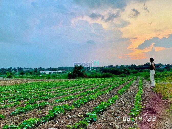 Hình ảnh Đất biệt thự nghỉ dưỡng view bờ hồ, đập Suối Rao Châu Đức