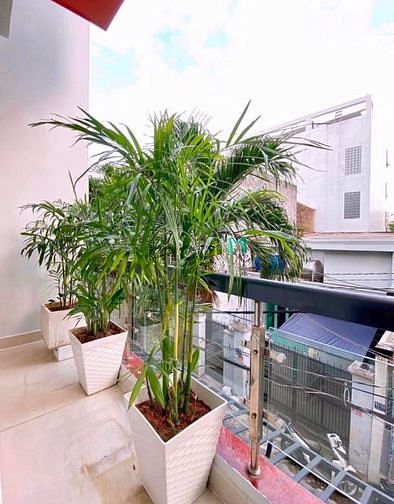 Hình ảnh KHÔNG CÓ CĂN THỨ 2 Tạ Quang Bửu Q8 3tỷ015 4PN