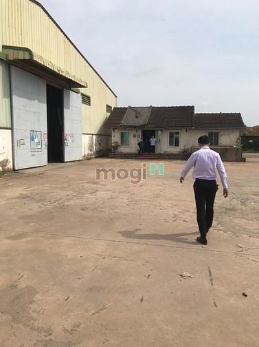 Hình ảnh BDS HVL Cho Thuê Kho Bưng Ông Thoàn Q9 12/03/2023
