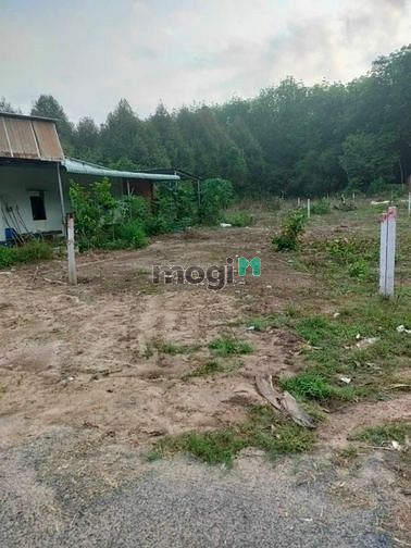 Hình ảnh chủ nhà gửi bán đất ngộp 160m2 thổ cư