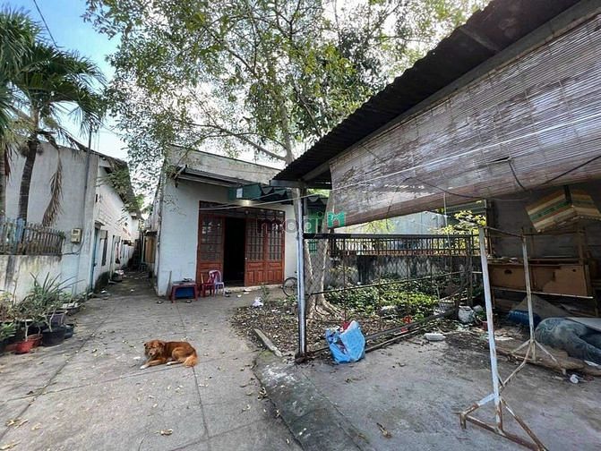 Hình ảnh Bán Gấp Lô Đất Siêu Rẻ ( 12x45 Full Thổ Cư ) Vị Trí 2 VTS P.Thống Nhất