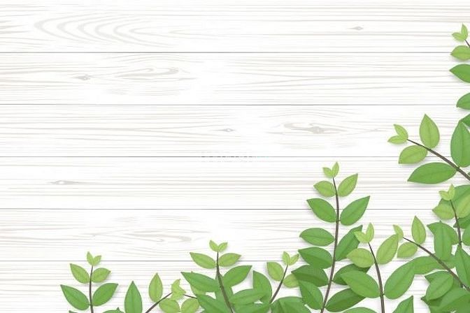 Hình ảnh Cho thuê nhà mặt tiền đối diện bệnh viện